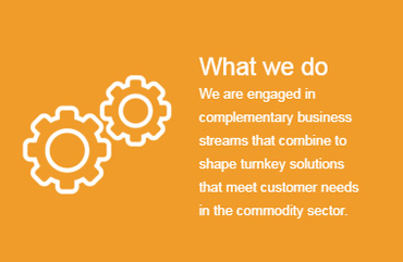  What We Do